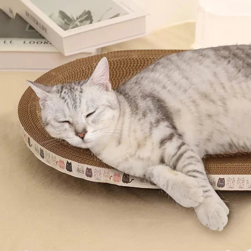 Corrugated Cat Scratcher sleeping