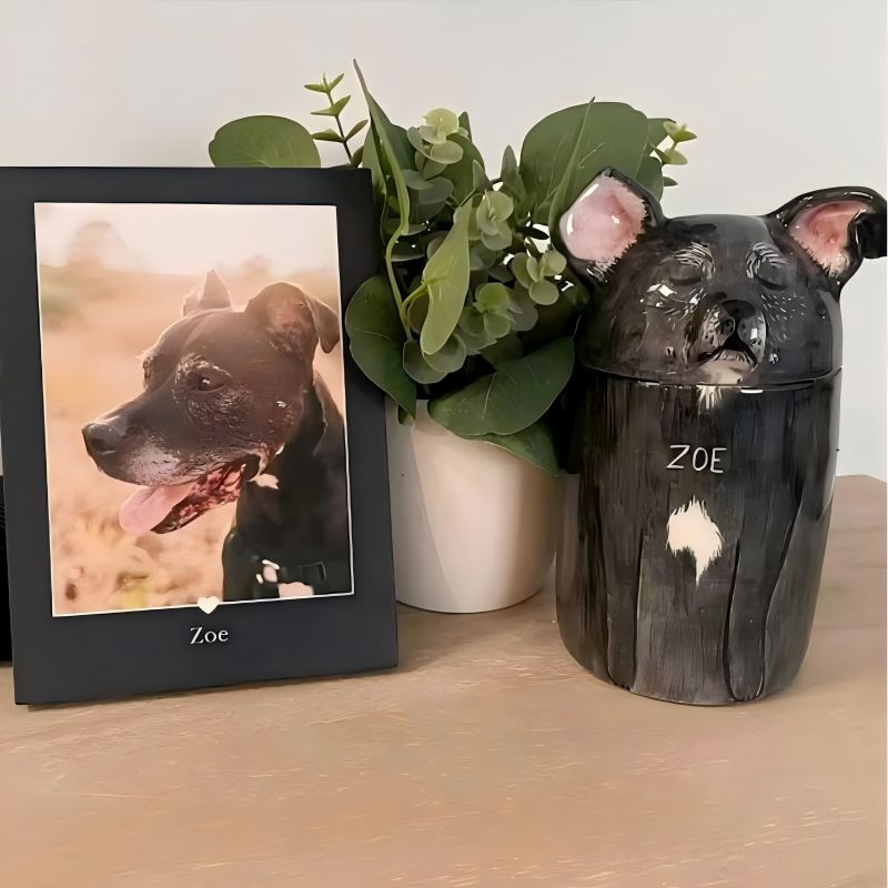 MEOVIQUE Custom Dog Urn