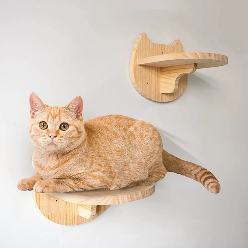 Cat Climbing Shelf Wall Mounted