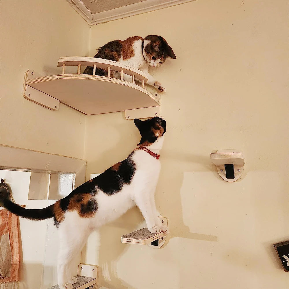 Cat Climbing Shelf Wall Mounted