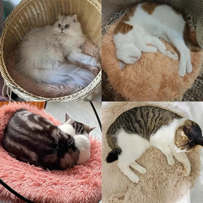 Soft Plush Round Cat Cushion