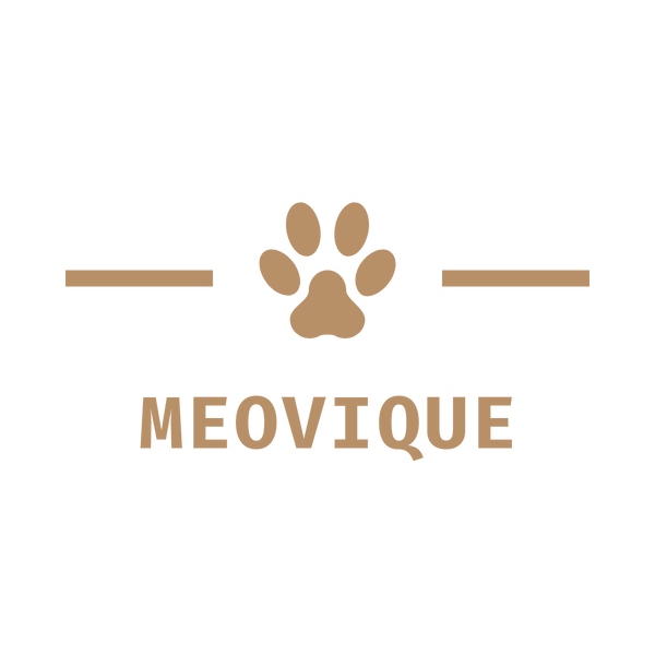 MEOVIQUE